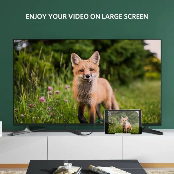 Cáp Micro HDMI to HDMI 20cm Ugreen 20134