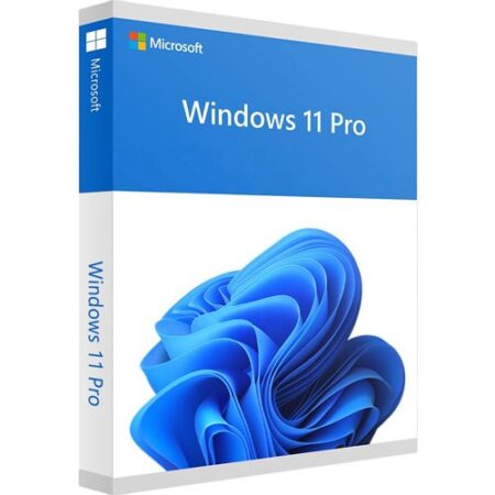 Windows 11 Pro 64-bit All Lng PK Lic Online DwnLd NR FQC-10572