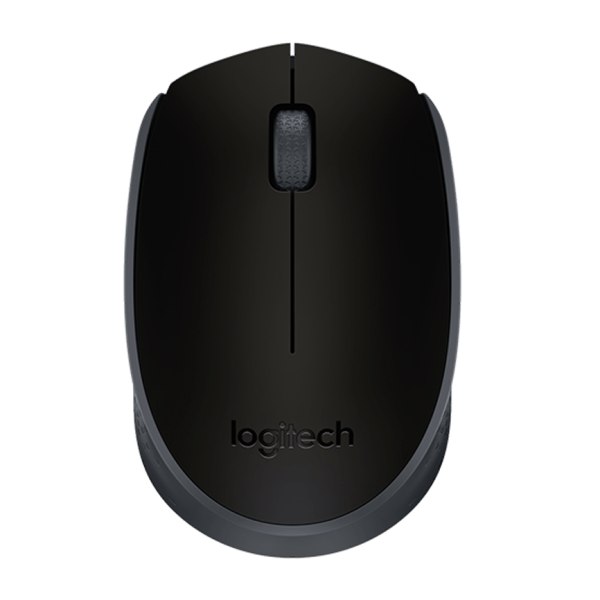 Mouse Logitech M170