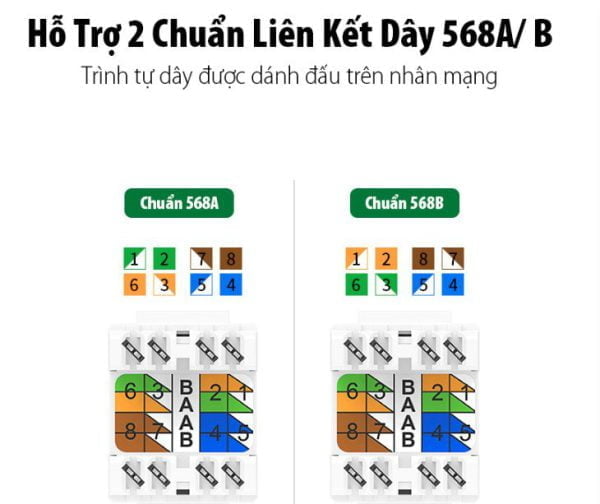 Nhân mạng âm tường Cat6 8P8C Ugreen 30844