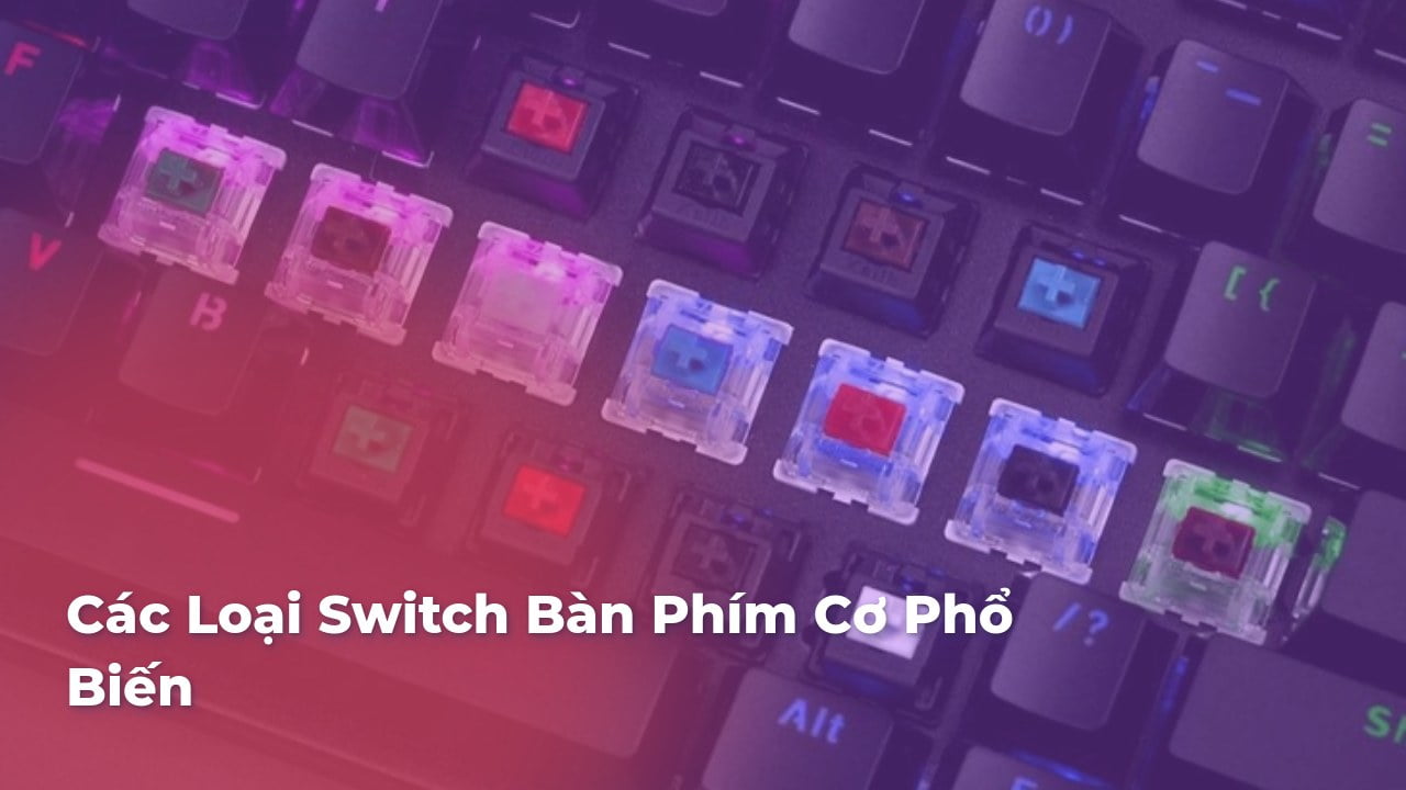 Các Loại Switch Bàn Phím Cơ Phổ Biến